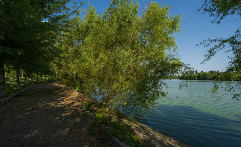 Lacul Tei, Laguna Residence